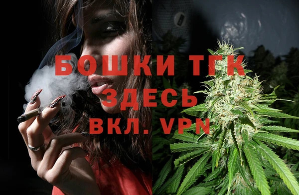 гашик Кодинск