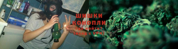 PSILOCYBIN Костерёво