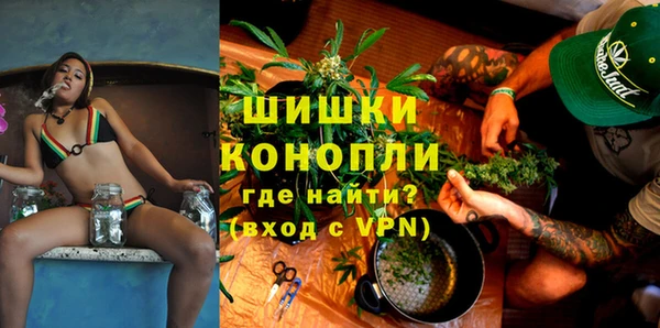 гашик Кодинск
