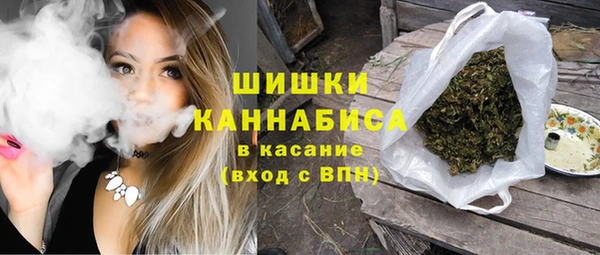 гашик Кодинск