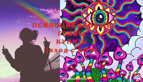 mdpv Козельск