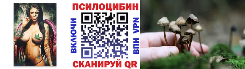 Псилоцибиновые грибы Psilocybine cubensis  Купить где  Воскресенск 